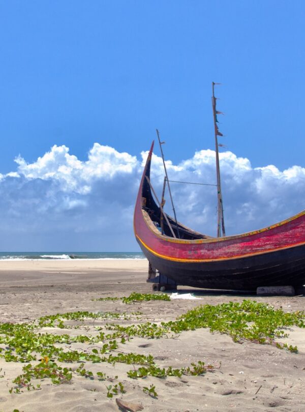 brown boat on white sand during daytime