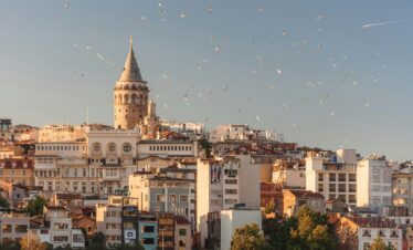 aerial view of buildings and flying birds