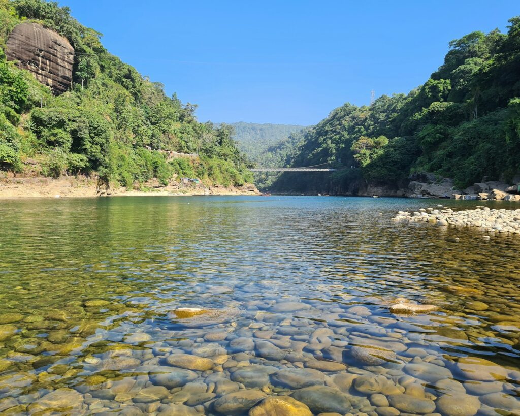 a body of water surrounded by trees and rocks
