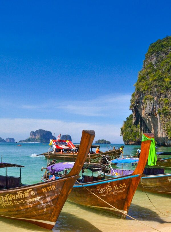five brown wooden boats