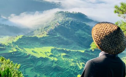 person in black long sleeve shirt and brown hat standing on green grass field during daytime