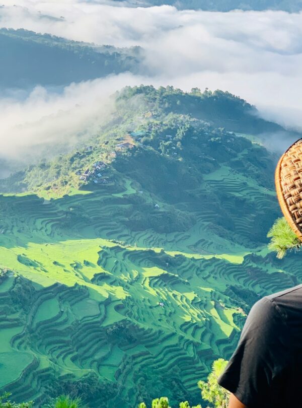 person in black long sleeve shirt and brown hat standing on green grass field during daytime