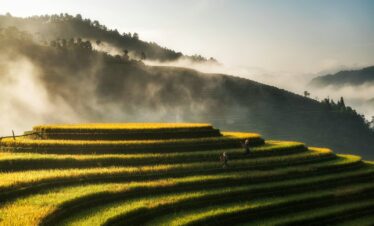 green grass field near body of water during daytime