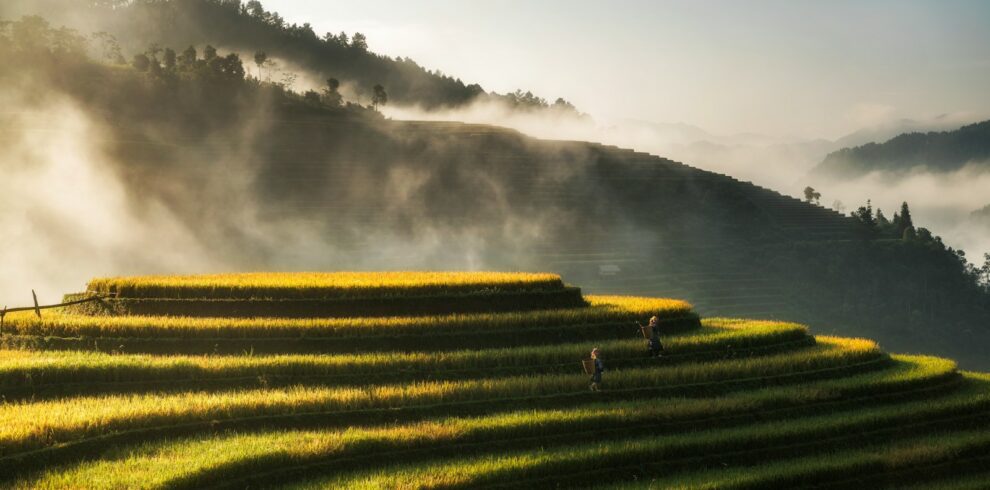 green grass field near body of water during daytime