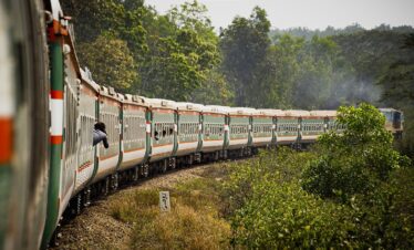 a train traveling through a lush green forest