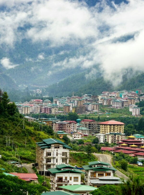 white and brown concrete houses near green trees under white clouds during daytime