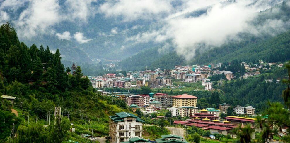 white and brown concrete houses near green trees under white clouds during daytime