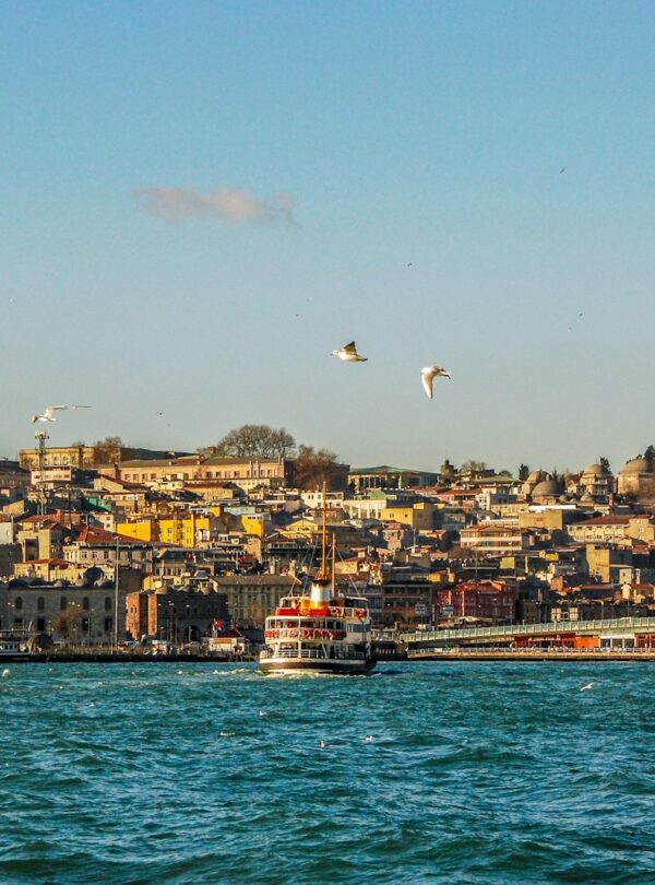city buildings near body of water during daytime